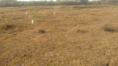 DTCP approved plots for sale at sriperumbudur in thathanur