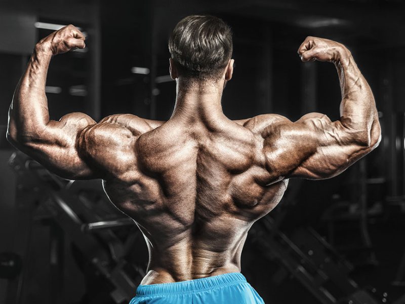 Best Body Building Supplements to Improve Gym Performance