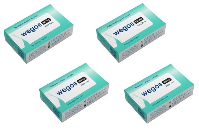 Ausgeglichene Energie beginnt mit WEGO 6