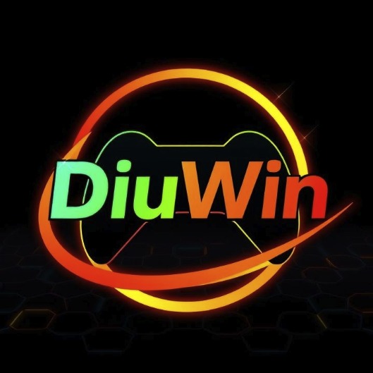 Diuwin – Complete Guide to the Diuwin Platform and Its Features