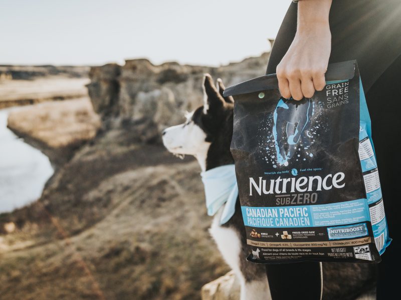 Grain Free Dog Food for Better Digestion