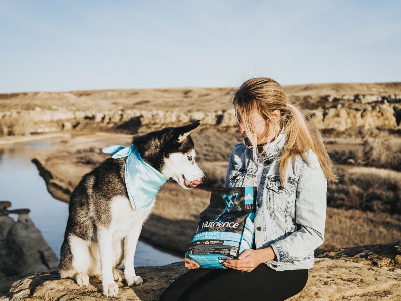 Simple Change, Better Nutrition for Your Dog