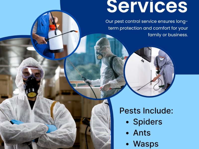 Pest control Brisbane made simple by Deluxe Cleaning Group specialists.