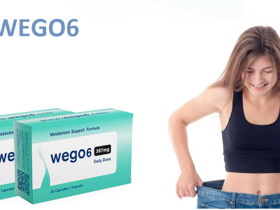 Wego6: Advanced Support for Energy, Balance, and Health