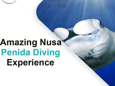 Amazing Nusa Penida Diving Experience