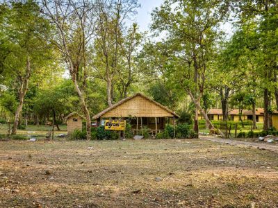 Forest Stay in Jim Corbett – Bijrani Jungle Cottages Experience