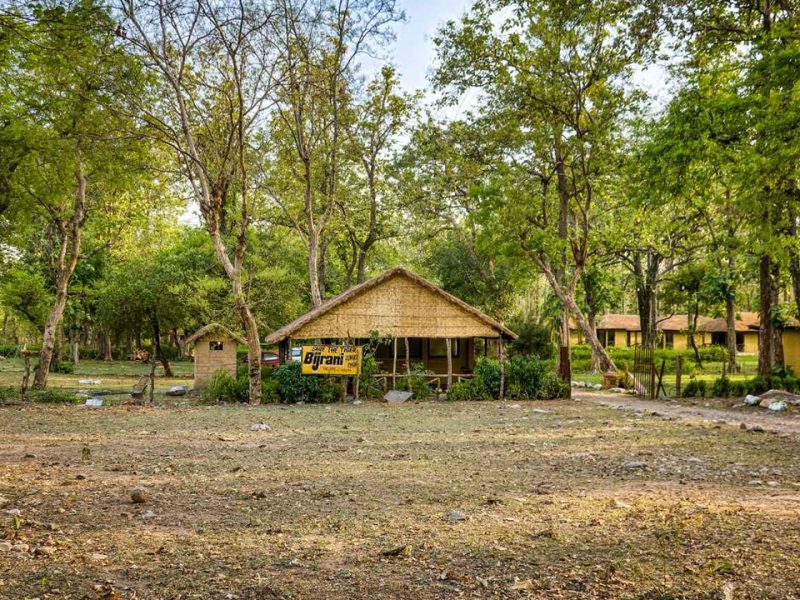 Forest Stay in Jim Corbett – Bijrani Jungle Cottages Experience