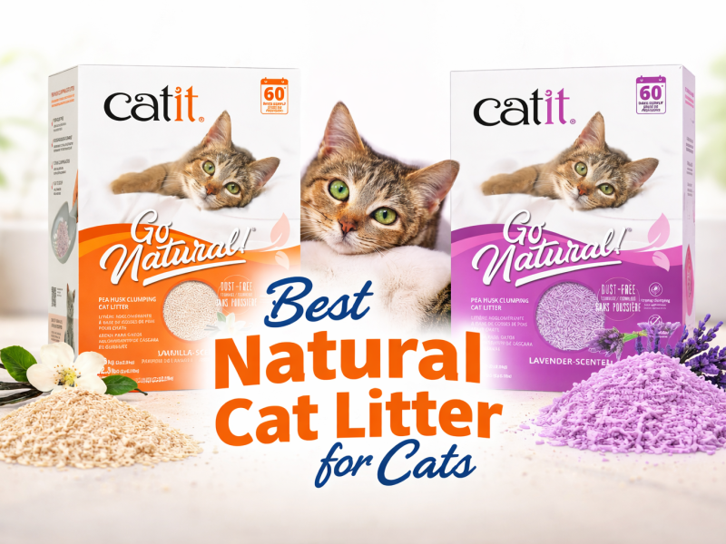 Pea Husk Cat Litter with Strong Clumping