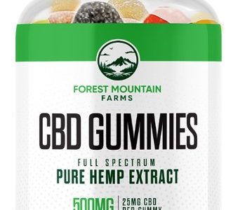 Forest Mountain : A Natural Way to Relax, Recover & Recharge