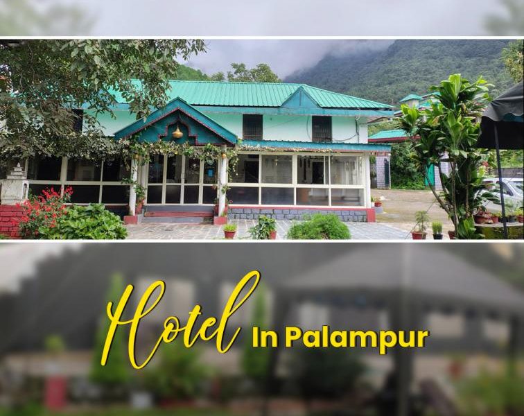 Hotel in Palampur for Comfortable Hill Stay
