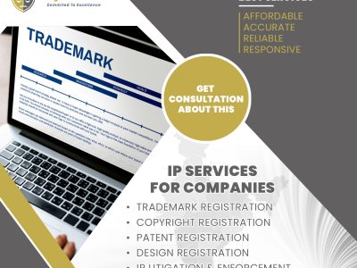 Intellectula Property Services