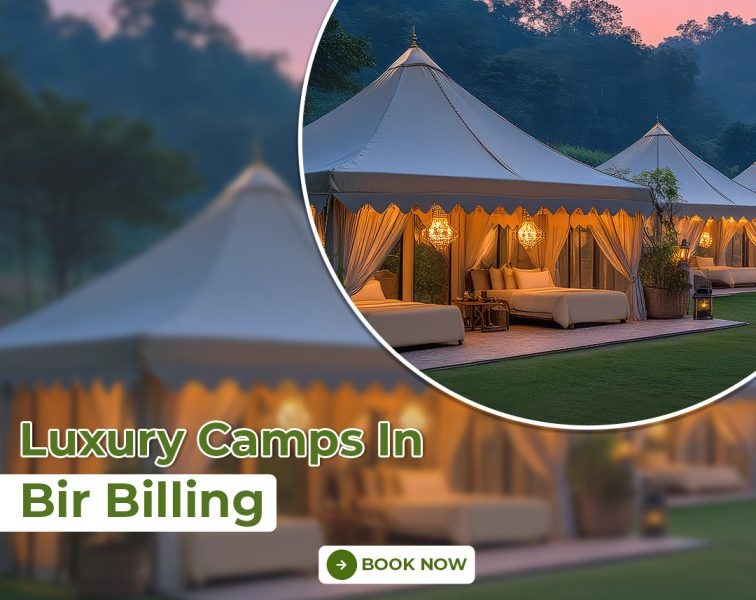Luxury Camps In Bir Billing for Premium Glamping