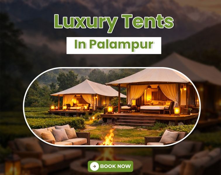 Luxury Tents In Palampur for Comfortable Camping Stay