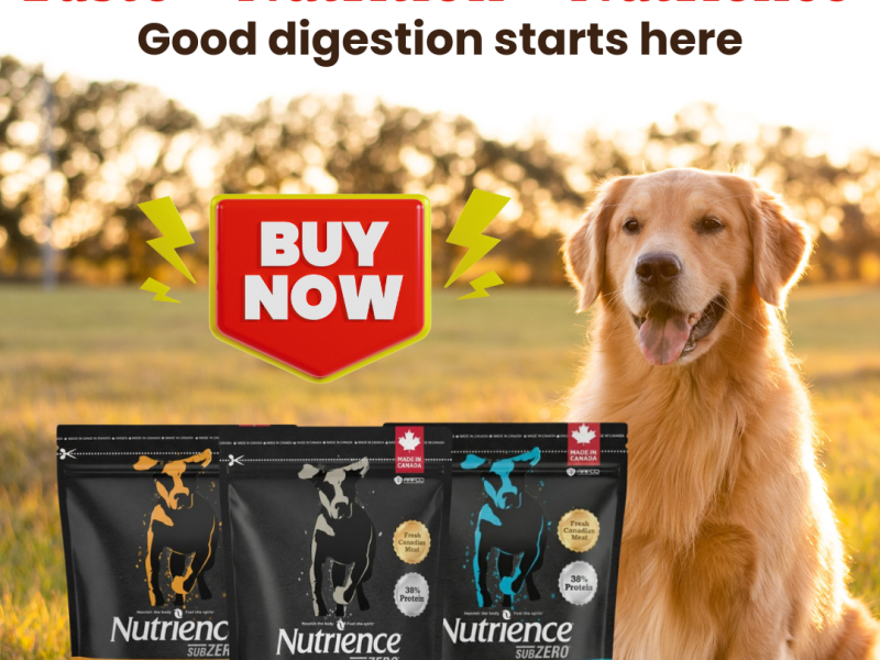 Buy Nutrience Dog Food in India | Best Dog Food for All Breeds