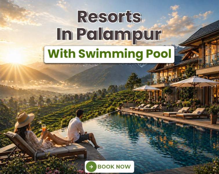 Resorts in Palampur with Swimming Pool for Relaxation