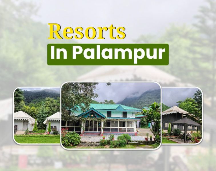 Resorts in Palampur for Peaceful Mountain Stay