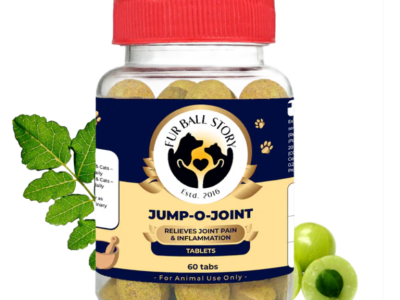 Today… your dog’s joints finally spoke