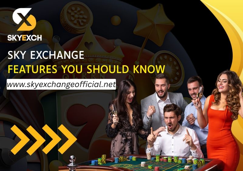 Top Features of Sky Exchange You Should Know