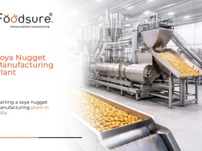 How to Start a Soya Nugget Manufacturing Plant (Step-by-Step)