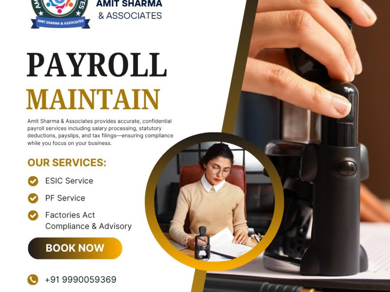 Business Consulting & Payroll Services in India | Amit Sharma & Associates
