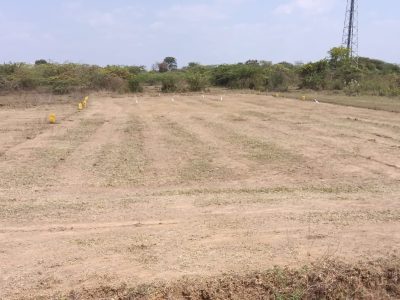 DTCP & RERA Approved plot for sale in Mosur village