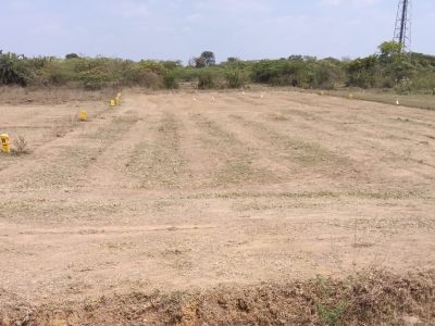 DTCP & RERA Approved plot for sale in Mosur village