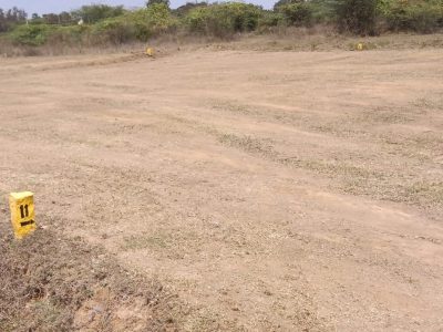 DTCP & RERA Approved plot for sale in Mosur village
