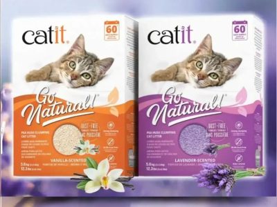 Premium Bentonite Cat Litter | Catit Cat Litter Sand Available