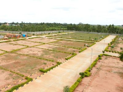 Is it safe to buy a plots in Noida Sector 105 for investment or not?