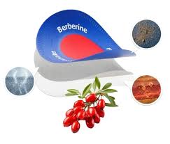 Purisaki Berberine Patches – Convenient Weight & Wellness Support Formula