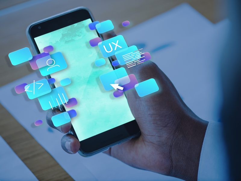 Custom Web Portal Development Solutions | Dignizant