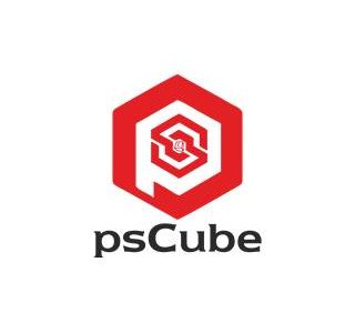 Ps Cube Industries