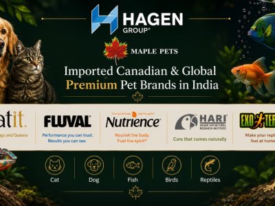 Interactive Cat Toys & Accessories Online – Shop Catit at Maple Pets