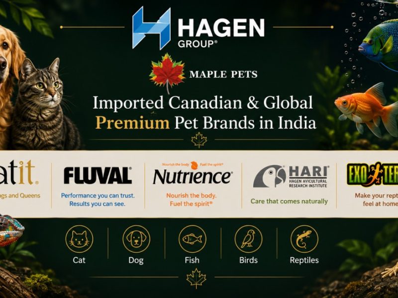 Interactive Cat Toys & Accessories Online – Shop Catit at Maple Pets