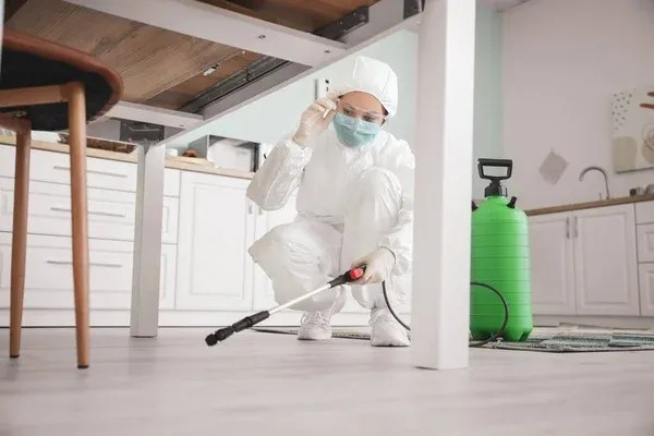 Pest Control Solutions Devon