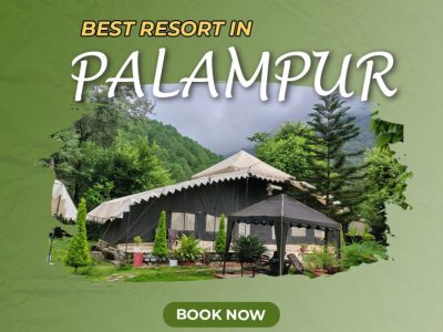 Best Resorts in Palampur for Nature Lovers