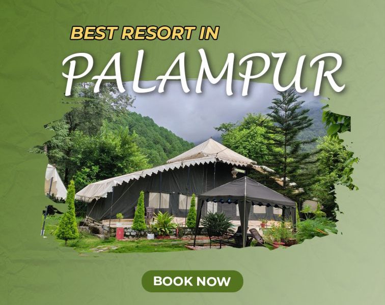 Best Resorts in Palampur for Nature Lovers