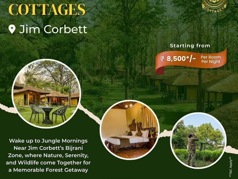 Adventure Filled Camping in Jim Corbett for Nature Lovers