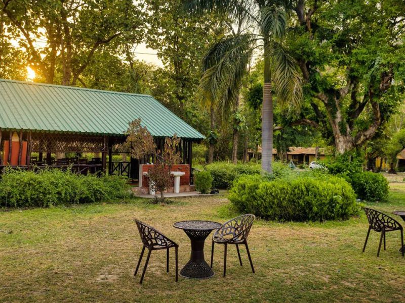 Stay at a Peaceful Jungle Resort in Jim Corbett