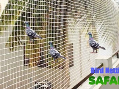 Bird Netting Services in Faridabad | Pigeon Net for Balcony Installation Near You