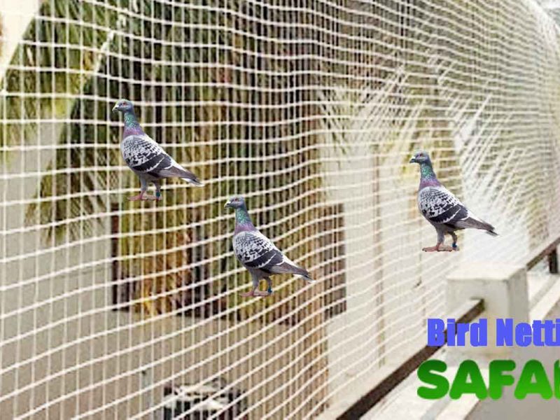 Affordable Pigeon Net for Balcony Near You