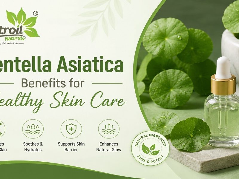 Centella Asiatica Benefits for Healthy Skin Care