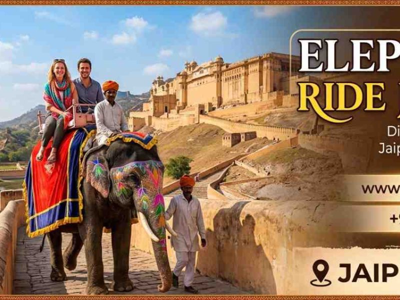 Experience the Magic: Your Guide to an Elephant Ride in Jaipur