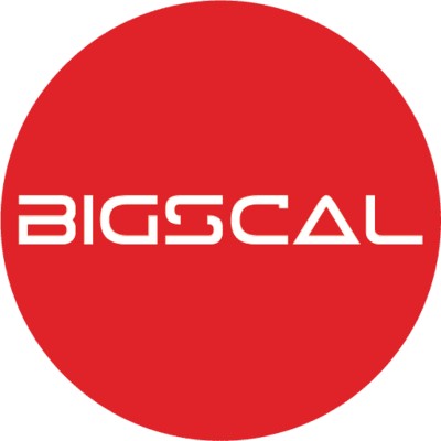 Bigscal The Ultimate Software Development Company