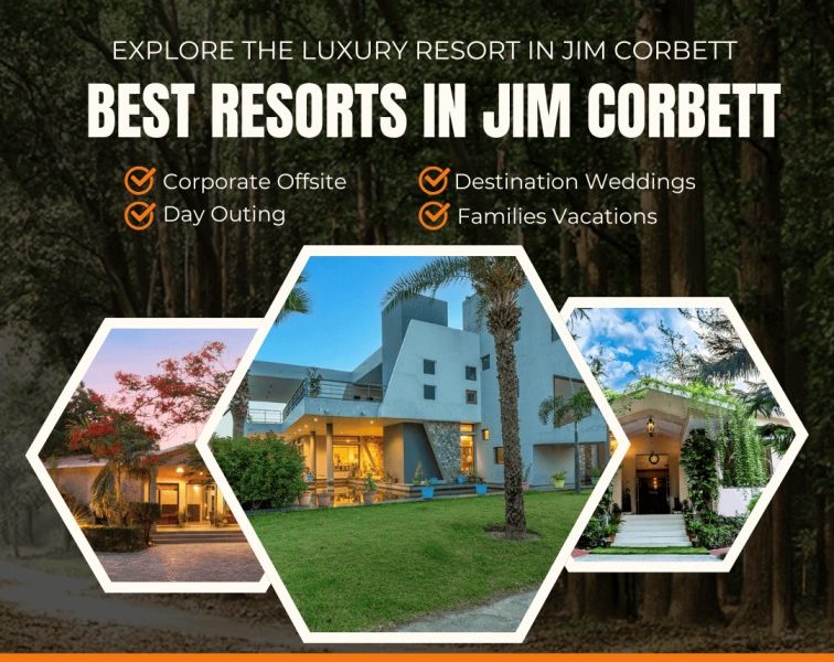 Luxury Resorts in Jim Corbett for Elegant Nature Retreats