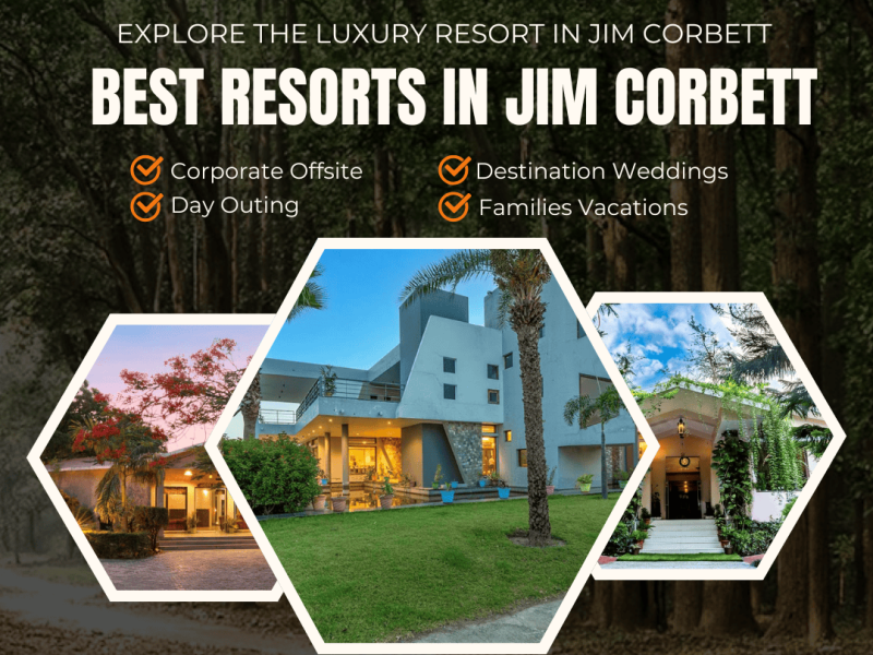Stay at Luxury Resorts in Jim Corbett for a Grand Nature Retreat