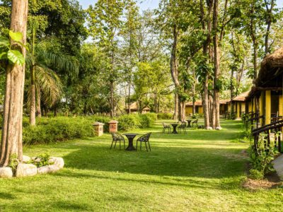 Jungle Cottages in Jim Corbett – Relax Amid Nature at Bijrani Jungle Cottages