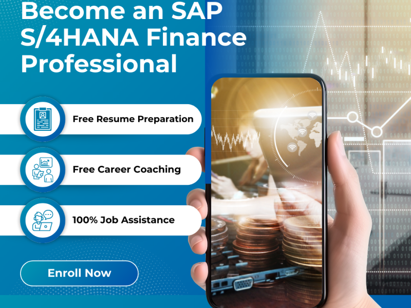 Mastering SAP S/4HANA Finance (FI): Build Your Financial Skills