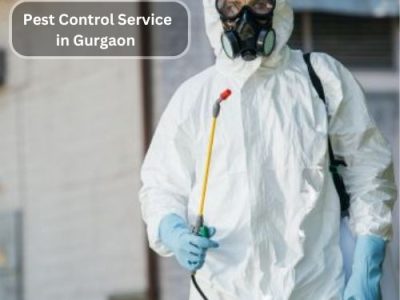 Best Pest Control Service in Gurgaon | Safe & Effective Solutions