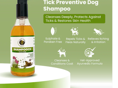 The Tick Shampoo for Dogs That Works Before Ticks Become a Problem